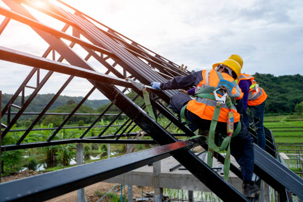 Best Roof Gutter Cleaning  in Biola, CA
